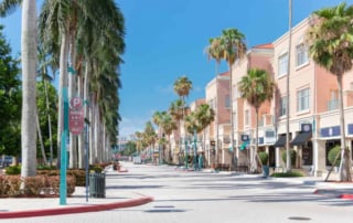 Urban area with palm trees and storefronts in florida