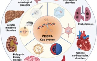 Circular diagram showcasing potential crispr applications in genetic disorders