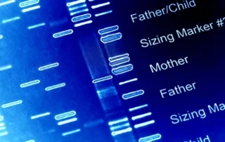 Dna gel electrophoresis highlighted with blue light displaying familial comparisons