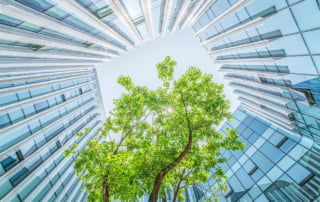 View of contemporary buildings and a vibrant tree against a blue sky