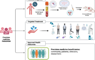 Flowchart illustrating precision medicine's role in improving health outcomes