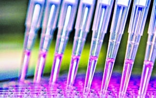 Close-up view of pipettes with pink liquid over test tubes, indicating scientific research and precision medicine.