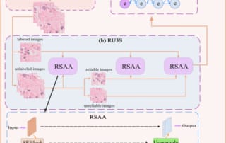 This image shows an ai-assisted pathology image diagnosis segmentation framework.