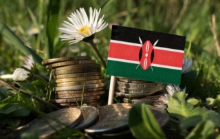 A miniature kenyan flag next to a stack of coins on grass with daisies