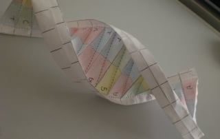 Paper model of a dna double helix showcasing nucleotide bases