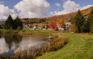 A tranquil rural landscape in autumn with a small pond, surrounding foliage, and a village backdrop.