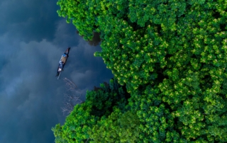 A serene aerial view of a boat navigating calm waters flanked by lush greenery.