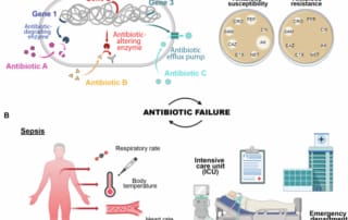 Illustration of antimicrobial resistance mechanisms and clinical implications of antibiotic failure