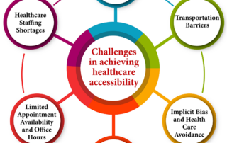 Circular diagram illustrating challenges in achieving healthcare accessibility