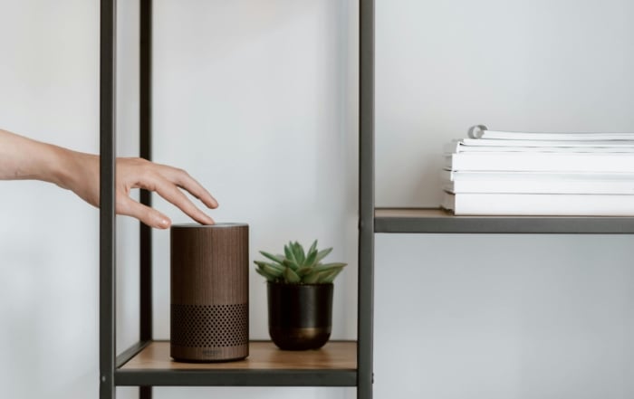 A modern interior shelf with a smart speaker and succulent