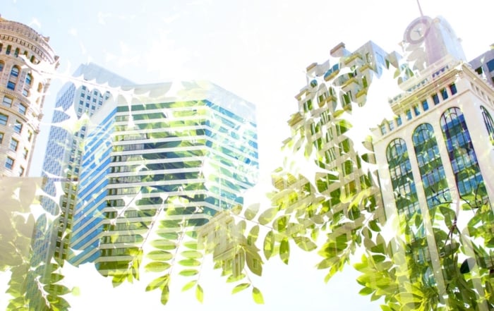 Image showcasing integration of urban architecture and nature