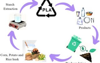 Flowchart illustrating the life cycle of bioplastics made from starch (pla)
