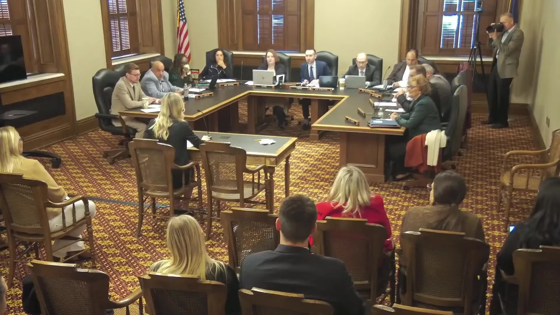Government committee hearing