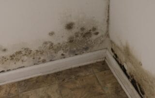 Mold growth on lower interior wall and baseboard in a home corner