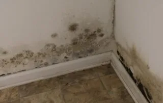 Mold growth on lower interior wall and baseboard in a home corner