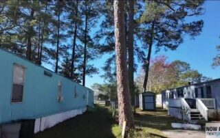 Mobile homes in a wooded trailer park under tall pine trees on a clear sunny day.
