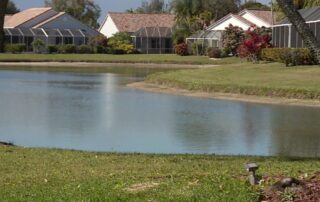 Lakefront lawns and screened-in houses in a suburban florida-style neighborhood